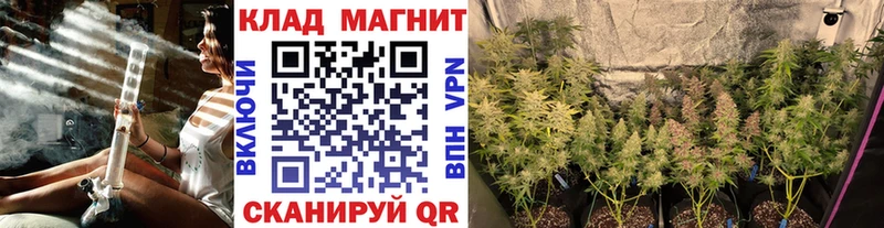 Где найти наркотики Соль-Илецк А ПВП  МАРИХУАНА  Галлюциногенные грибы  ГАШИШ  Меф  Амфетамин 