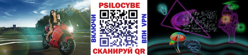 Галлюциногенные грибы Magic Shrooms  где найти   blacksprut ONION  Соль-Илецк 