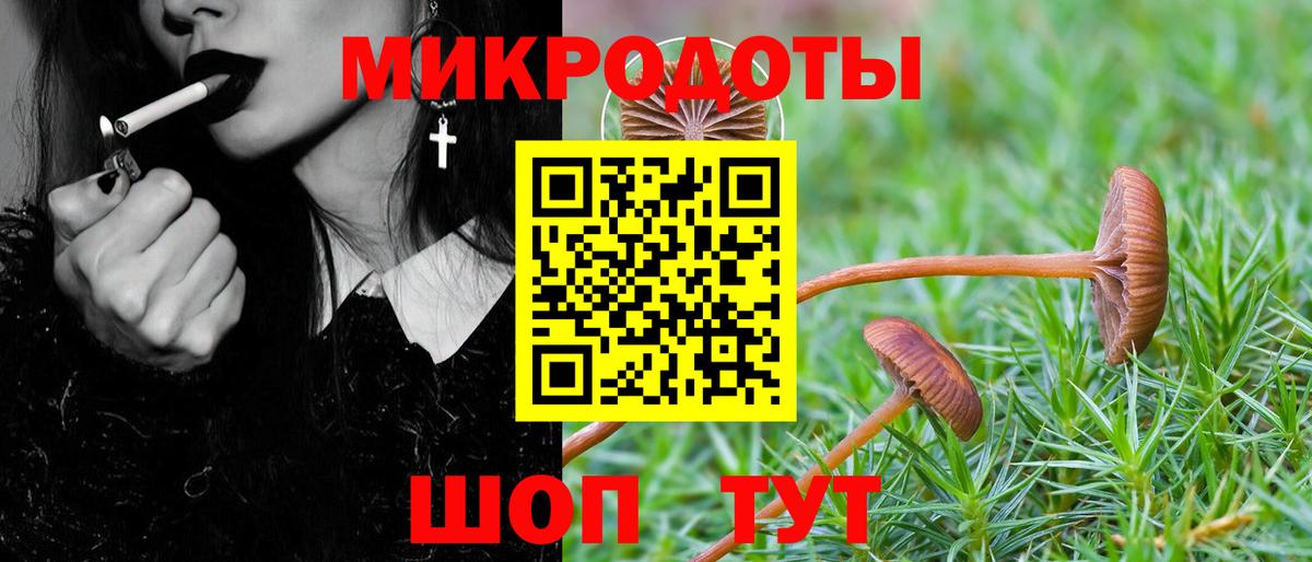 Псилоцибиновые грибы прущие грибы Соль-Илецк