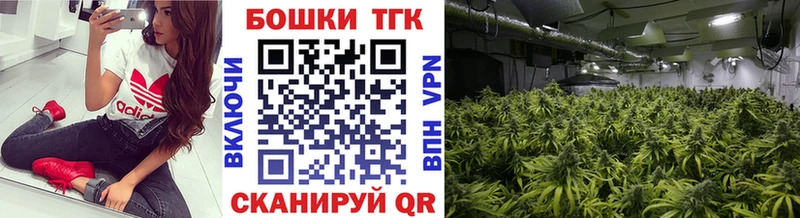 купить  цена  Соль-Илецк  Бошки марихуана сатива 